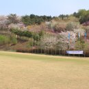 미 산 네이버블로그