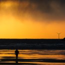 사람 그리고 새 이미지