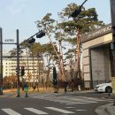 만정로터리금호어울림2단지 | 군산 러프 임장 후기