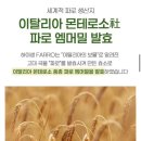 효소발효와 건강식이 | 하이생 파로효소 솔직후기 저당곡물 소화효소