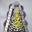 함평농업협동조합장례식장 | 함평꽃집 근조화환 당일배송 가능한 장례식장 함평농협장례식장