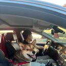 파울렌첸 이미지