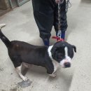 옥계2공단로2-27 이미지