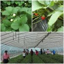 둥지농장 이미지