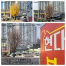 은행나무공인중개사사무소 이미지