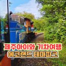 생명과 공존의 숲( | 제주가볼만한곳 에코랜드 테마파크 아이와 함께한 숲속 기차여행 후기