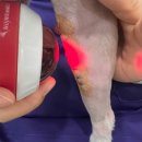 누리종합동물병원 이미지