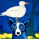 독(DOG)도 이미지