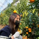 남원읍 태흥리 476-3 | 겨울 제주도가 좋다구요❄️🍊 서귀포 1박2일 혼자여행 뚜벅이코스 일정 경비[비로소민아 일상]