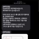 제주애단비 마주 이미지