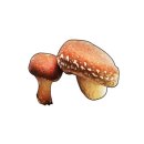 (주)좋은음식 - 용인시 처인구 | (주)좋은음식