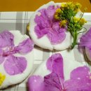 화전어린이집 이미지