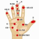 고려수지침용인수지지회 | 수지침시술은 의료법위반이 아니다