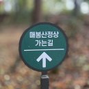 대현산-응봉산-매봉산-남산둘레길 살방살방 이미지