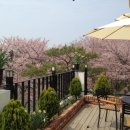 안평축산 이미지