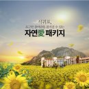 샤인빌리조트(SHINE VILLE RESORT) | 바다내음 가득했던 제주도 호텔추천 대명샤인빌리조트
