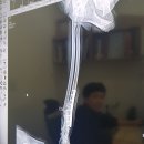 소미하다