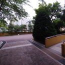 동진태양광발전소 이미지