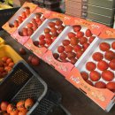 가마골농장 이미지