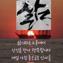 금호행정사 이미지