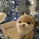 [유황크림추천] 스포츠롤올 크림! 피케이바이오 크림 후기