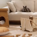 성남대로1390번길 이미지