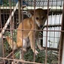 봉자농장 이미지