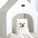 몽실하우스 이미지