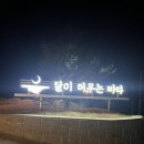 달이머무는바다 | T. 태안 가성비 해돋이 숙소 추천 - 달이 머무는 바다 펜션(A4)