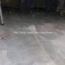 성운코아 이미지