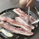 산음휴양림 달빛마을 | [아기랑 영월여행] 달빛동물원,뗏목체험,숲체험(망경대산자연휴양림)