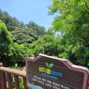 엉덕 | 6월 제주도 여행 가볼만한곳 흐르는 물소리 가득한 안덕계곡