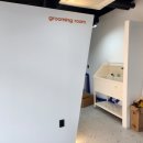 멍생폼사 이미지