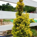 북풍농장 이미지