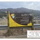 행복한 공인중개사사무소 | 창원 마산 예곡동 산수유 축제