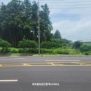 남원읍 토지식당 옆 | 제주 서귀포시 남원읍 위미리 6차선 대로변 토지 매매 (상가 부지 추천)