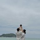 협재숲