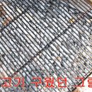 파인트리캠핑장 이미지