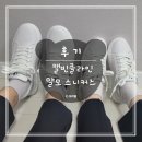 D00823 | [내돈내산/심플한 커플운동화 추천] 캘빈클라인 말모 스니커즈 (YM00681/YW00823)