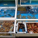 부부대게 이미지