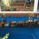 로즈마리펜션 이미지