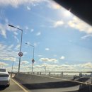 배곧정형외과의원 | 가을 등산 중 발목 접질림/배곧 짚압 정형외과 진료 및 처치 후기