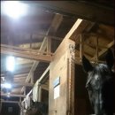 기쁜목장 이미지