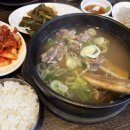 펜트라우스 상가 | [마포 우가촌 설렁탕] 공덕왕 갈비탕 진한 국물이 일품인 갈비탕 맛집