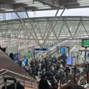 탕국나라 | 설 연휴 다 썼어용 리필 부탁드려용