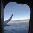 카카오피씨 | 제주항공 찜특가 2026 이렇게 하면 성공 실제 예매 후기