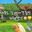 네이베이 솔리드 네이버블로그
