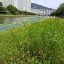 부동산씨티뱅크공인중개사사무소 이미지