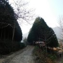 제42회2016년2월15일 전북완주 한오봉 편백나무 숲길 전주 한옥마을 이미지