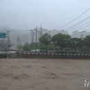상촌천 뉴스1